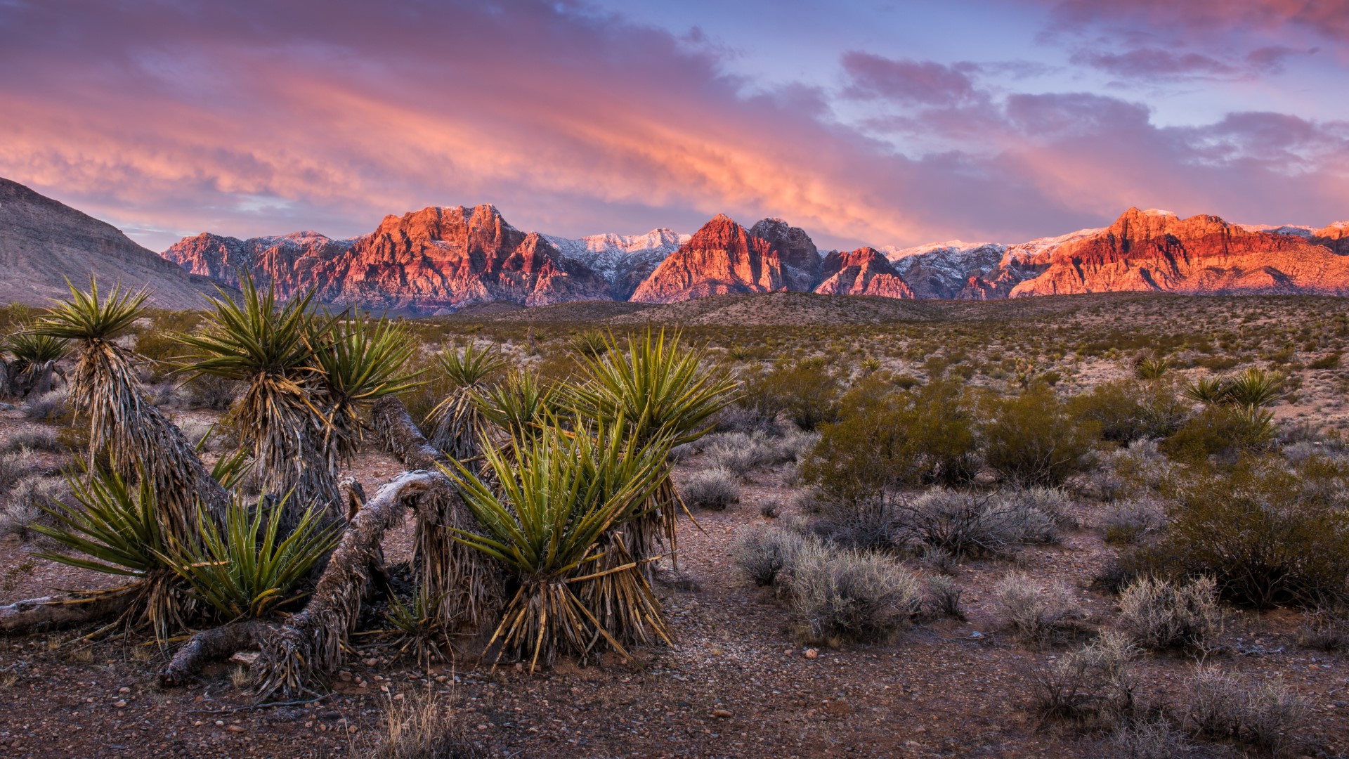 Scenic sunrise view of Red Rock Canyon in Las Vegas with desert landscape and mountains.